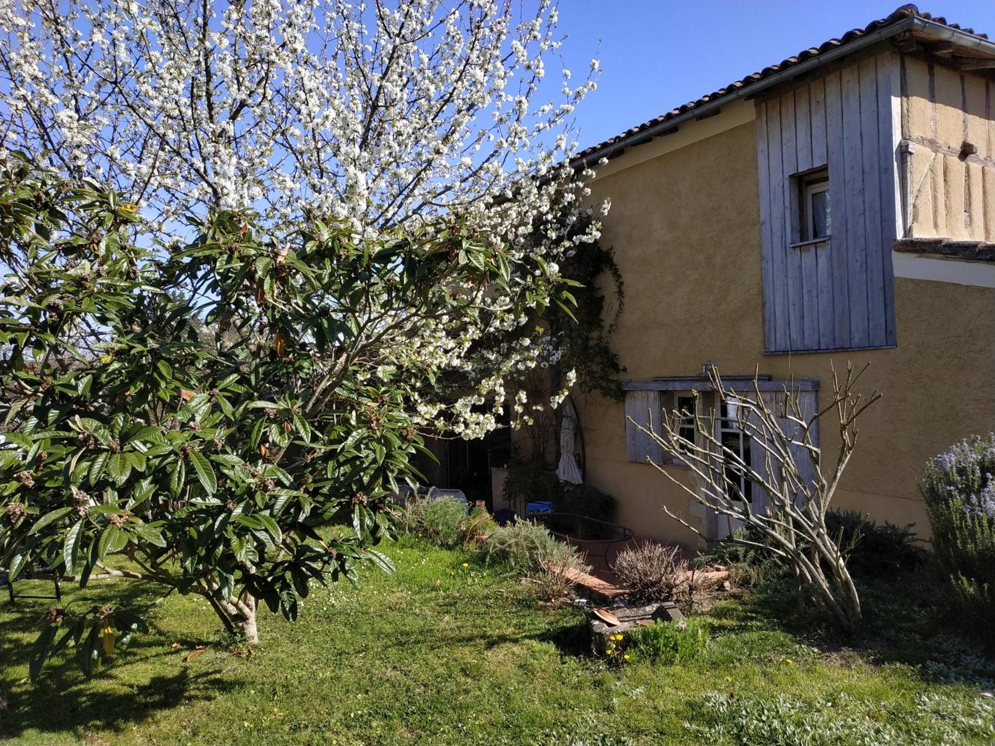 "Au Campaner" Chambres Dans Maison Gasconne Barran Esterno foto